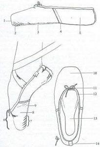 anatomyofpointe